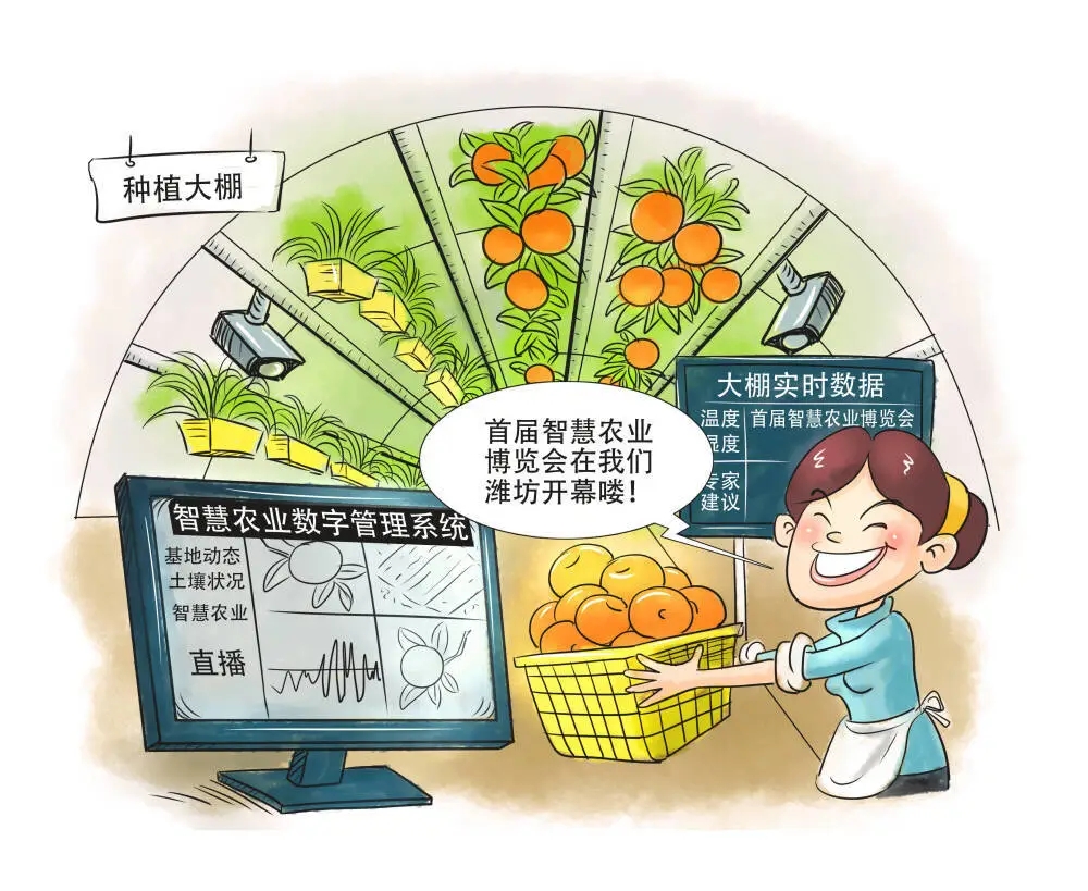 有“潍”丨数字赋能,“智慧农业”潍坊这边风景独好